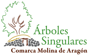 arboles_logo_rbg_logo